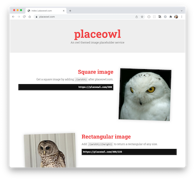 placeowl.com